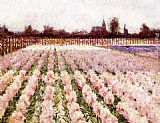 Flowers Canvas Paintings - Field of Flowers